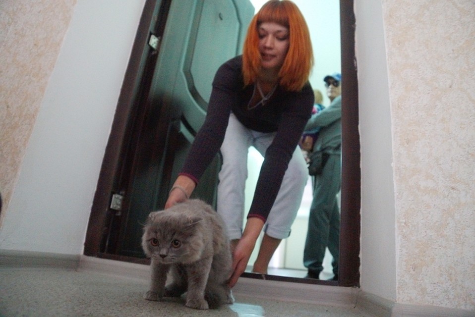 Срок кредитования по ипотеке с господдержкой составляет от 3 до 30 лет включительно