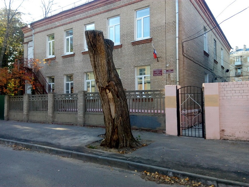 Сейчас в детском саду работает восемь групп. В каждой группе от 12 до 15 мальчишек и девчонок от 4 до 7 лет, каждому из которых требуется внимание.