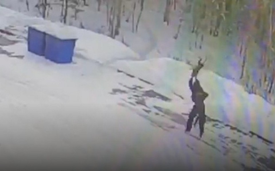 Живодера, убившего собаку на заправке под Иркутском, задержали полицейские
