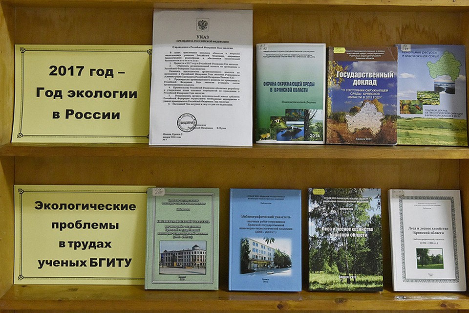 Фото: пресс-служба правительства Брянской области.
