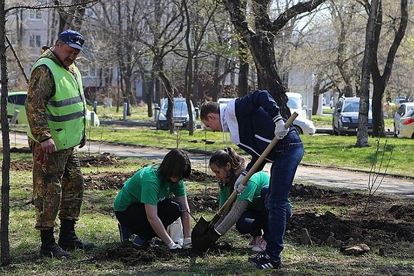 В местах незаконного уничтожения зеленых насаждений во Владивостоке будут высажены новые деревья. Такое поручение дал специалистам профильных управлений мэрии глава города Олег Гуменюк.