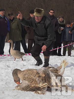 Фото: Николай Михайлов.
