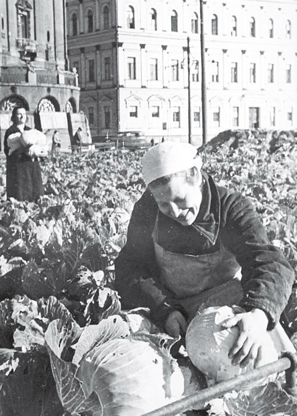 Такого центр не видел еще никогда - главные площади превратились в... огород. Фото: Тимур ХАНОВ