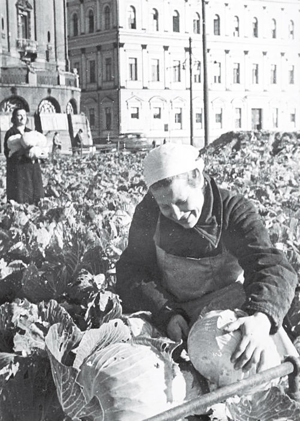 Такого центр не видел еще никогда - главные площади превратились в... огород. Фото: Тимур ХАНОВ