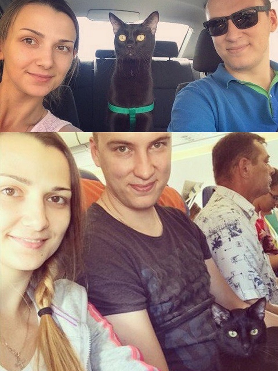 Первая поездка кота-киприота в Лимассон состоялась примерно два года назад. Фото: из личного архива героя(ев) публикации