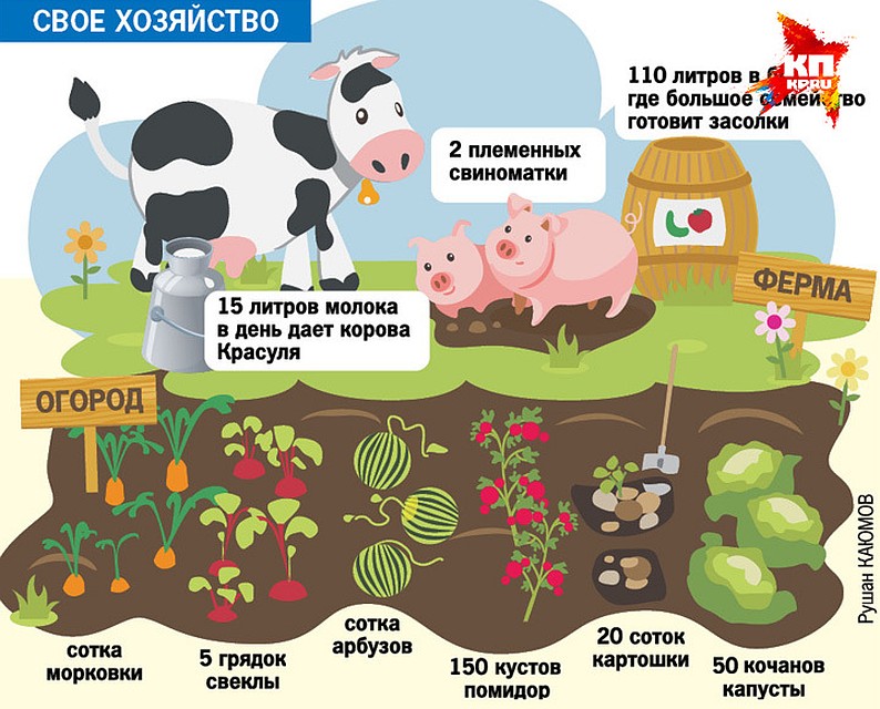 Фото: из архива КП