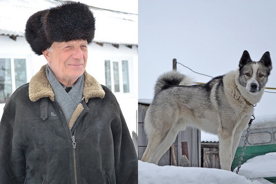 Пес Дик привлек внимание к своему тонущему хозяину, чем спас ему жизнь. Фото: Лариса РОЩИНА/"Чулымская газета"