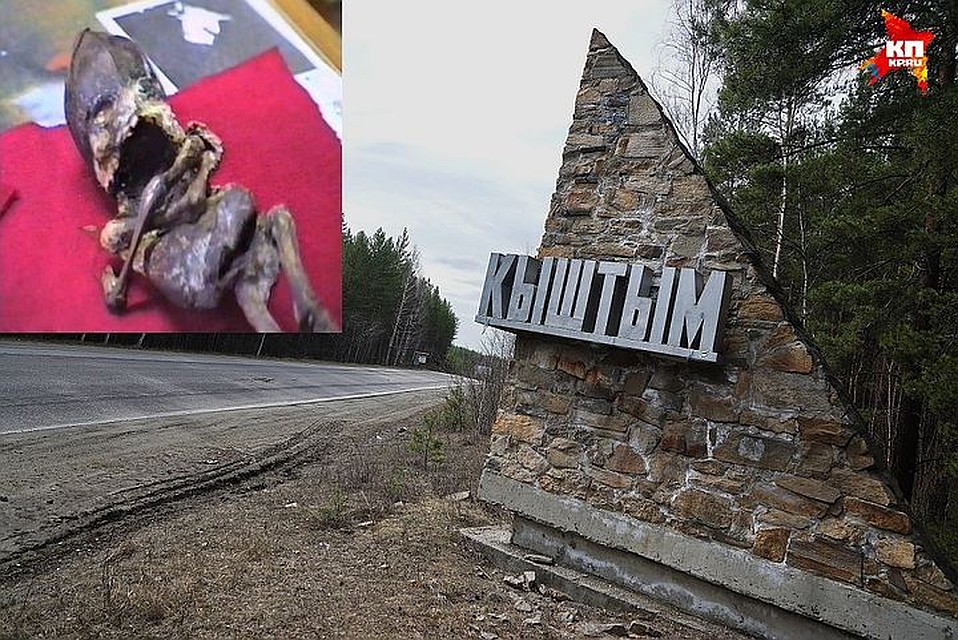 В мае 2016 года исполнилось 20 лет, как в уральском городке Кыштыме нашли гуманоида Алешеньку Фото: Алексей БУЛАТОВ