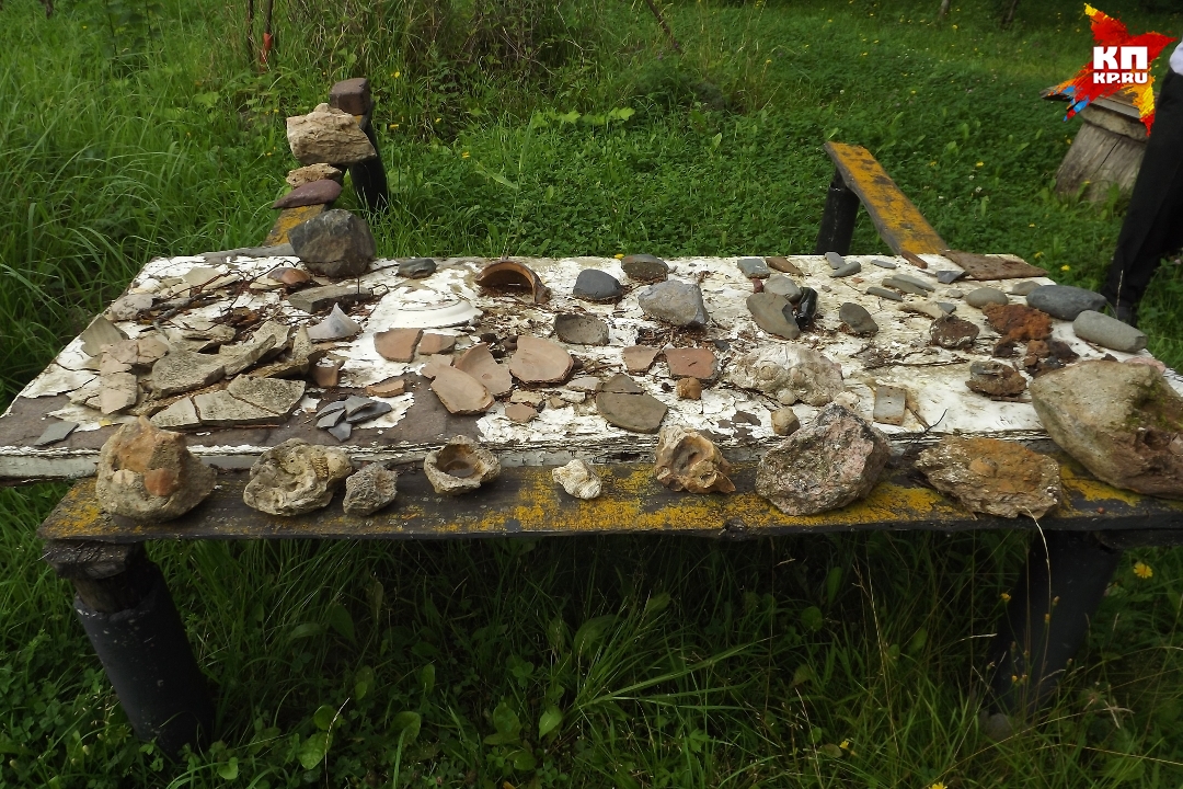 Многие находки до сих пор так и лежат в огороде Фото: Ирина ТАРАСОВА