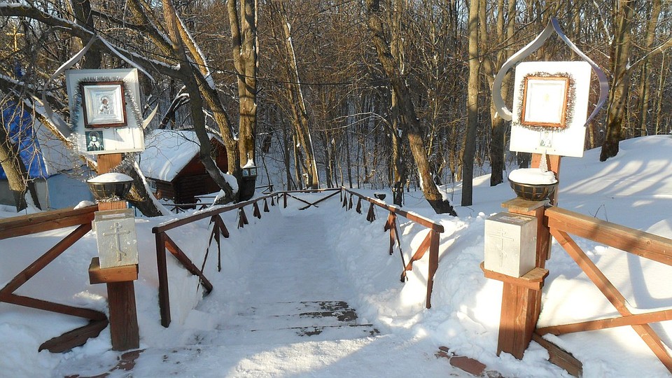 Фото: Михаил Глущенко.