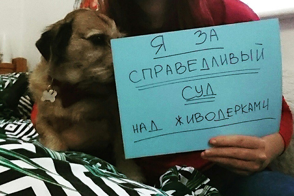 Хабаровские зоозащитники опасаются, что девушки отделаются условным сроком. Фото: Социальные сети