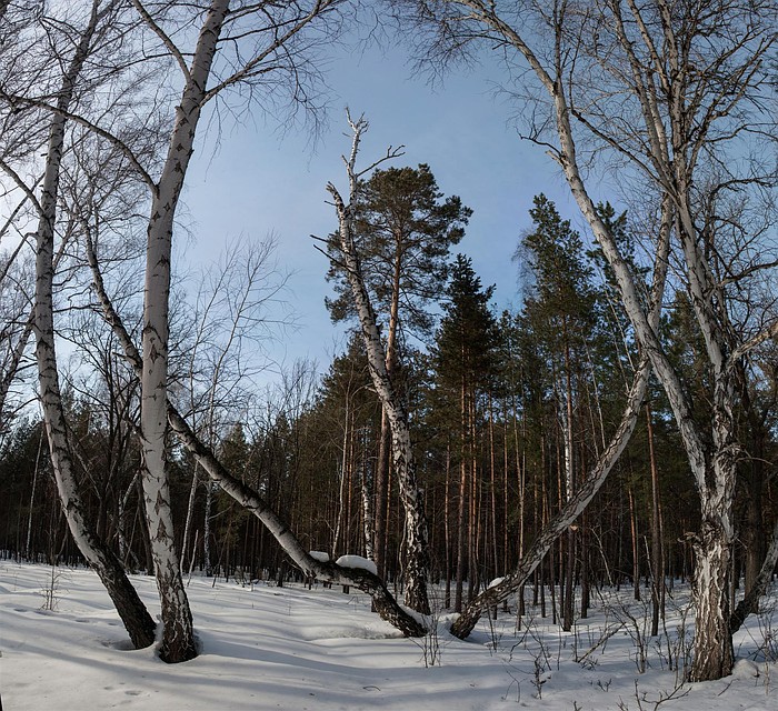 Как мы искали соль земли Шигонской Фото: Андрей ЦЫГАНОВ
