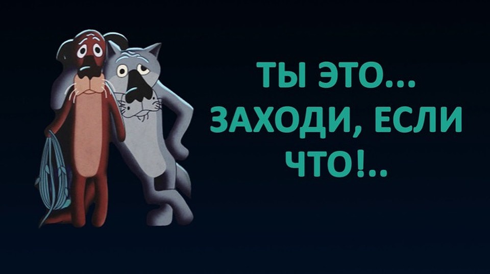 Нет, не родня они - по разным эволюционным лестницам шли. Хоть и похожи.