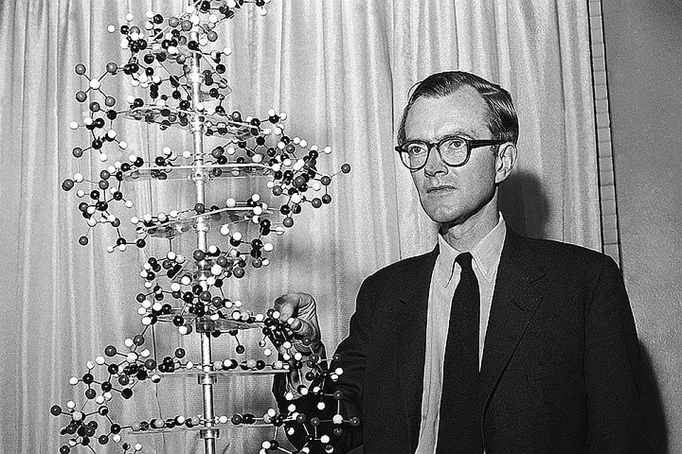 1962 год, один из соавторов открытия ученый Морис Уилкинс и модель спирали ДНК Фото: EAST NEWS