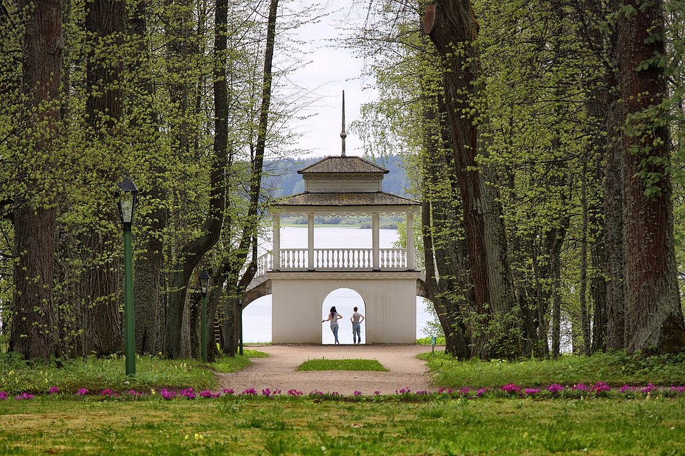 Конкурсное фото Влада Сорокина.