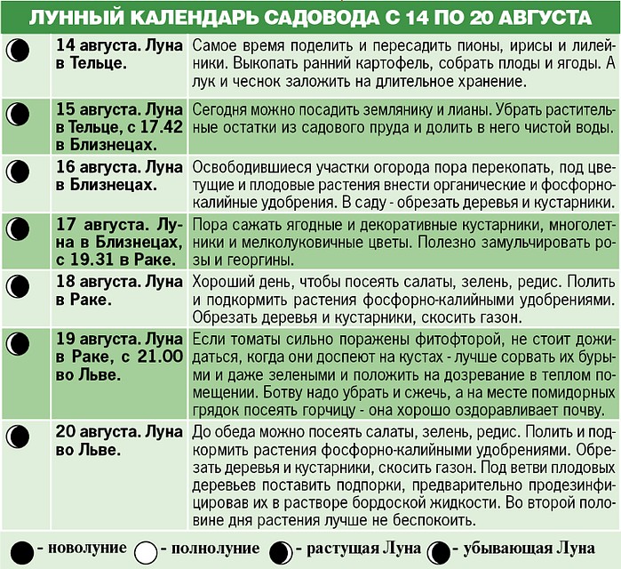 Лунный календарь садовода с 14 по 20 августа