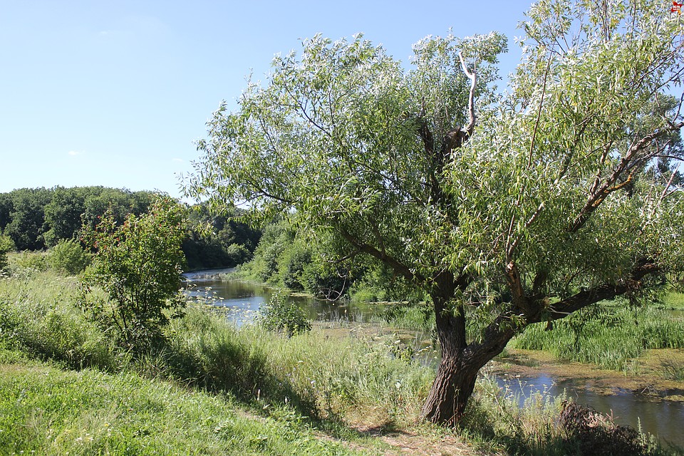 С виду речка тихая, но в некоторых местах бывают водовороты. Фото: Инна УЛЬРИХ