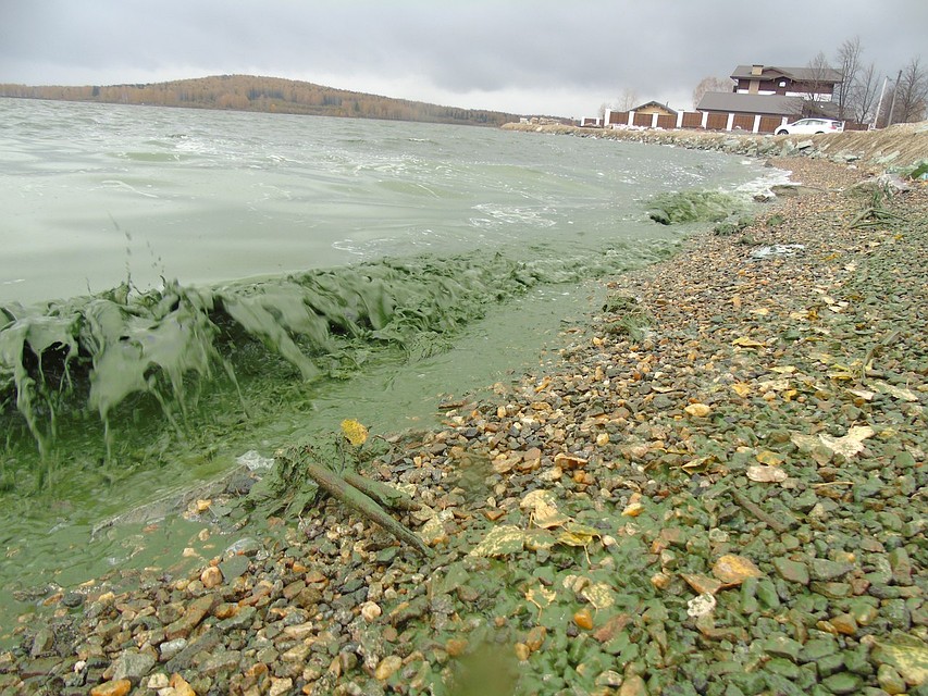 Горожан сильно удивил цвет воды Фото: Андрей Волегов