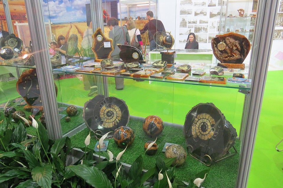 В Ульяновске проходит всероссийский форум «Новая кооперация» Фото: Светлана ЧЕРНЫШОВА
