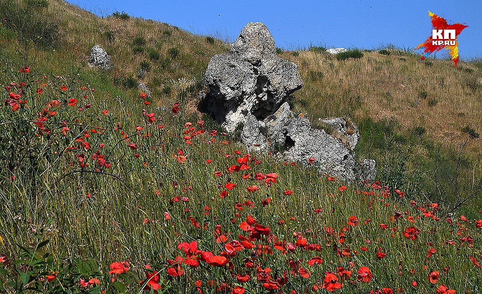 Теперь красоты Крыма стали доступнее. Фото: Виктор ГУСЕЙНОВ