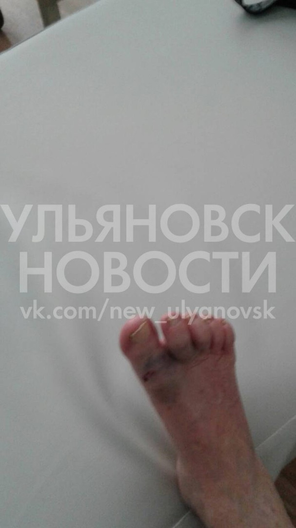 Фото: vk.com.