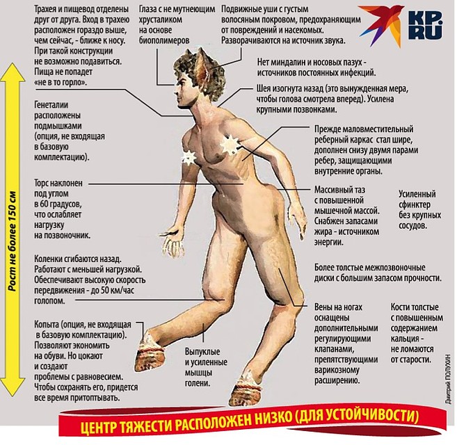 Идеальный мужчина в представлении ученых: наш худодник Дмитрий Полухин изобразил его с учетом всех предложенных изменений в лучшую сторону.