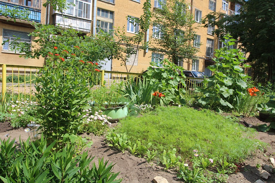 Аккуратные клумбы без чиновников, торгов и подрядных организаций Фото: Игорь ДОКУЧАЕВ