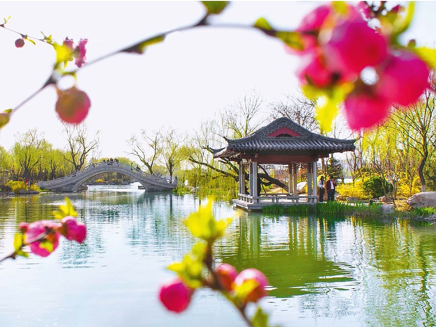 Фото: pixabay.com.