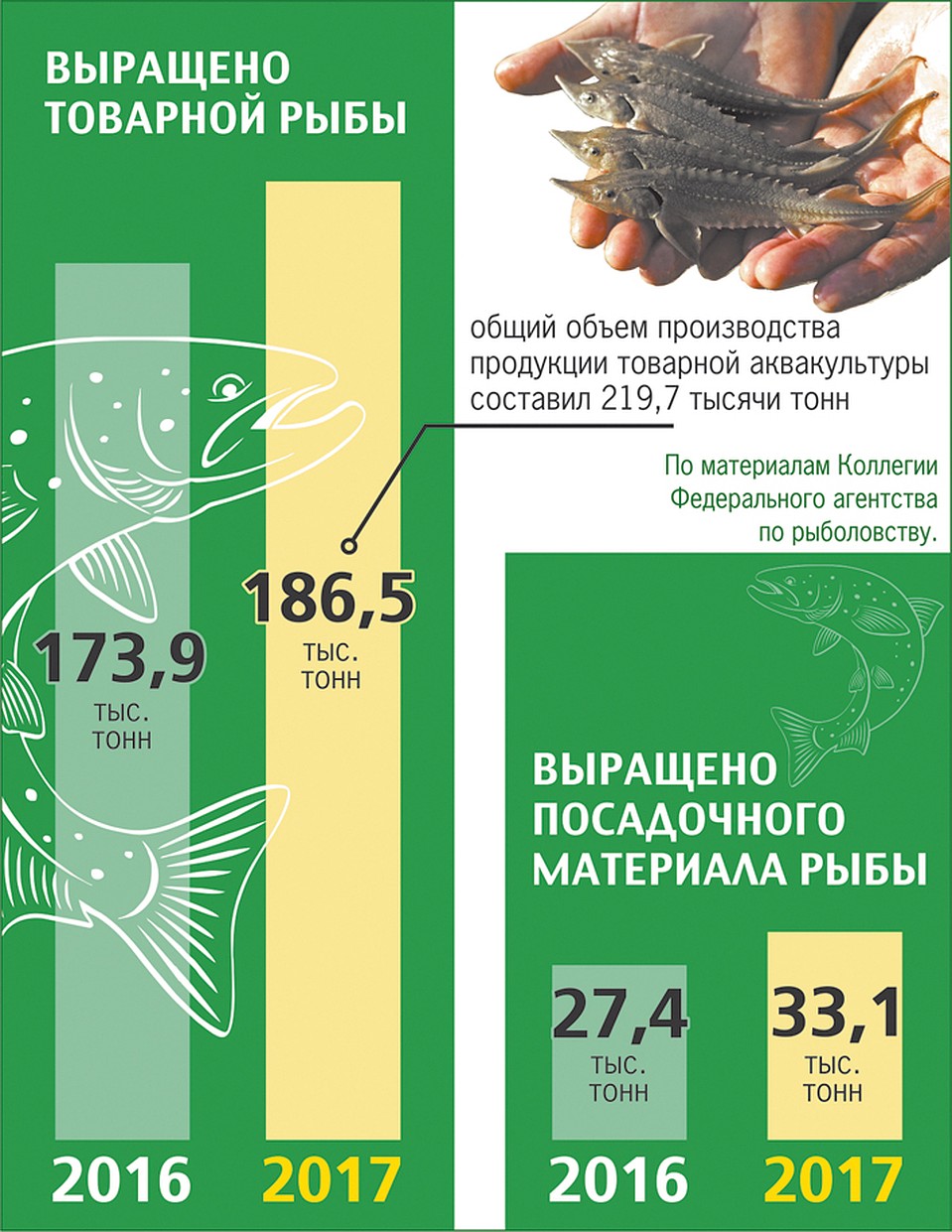 Катерина МАРТИНОВИЧ