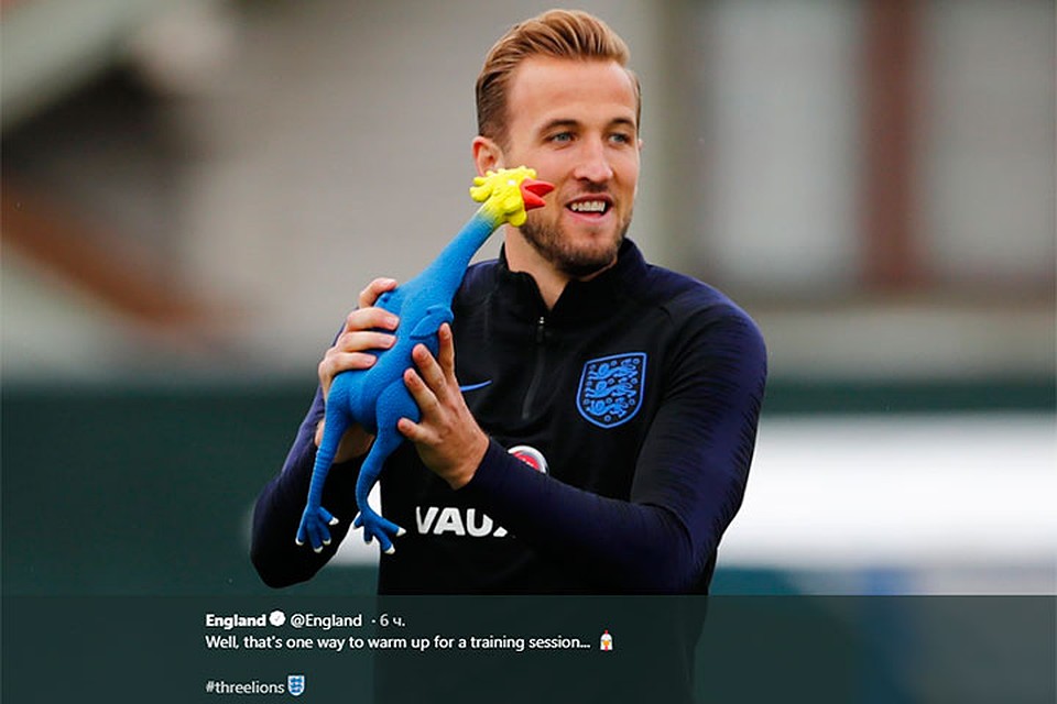 Петух – символ сборной Франции. Фото: twitter.com/England/