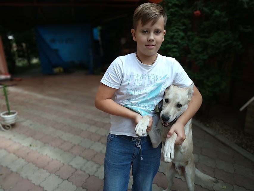 В Ростове-на-Дону пятиклассник торговал на улице яблоками, чтобы спасти от голода любимого пса. Фото: архив семьи.