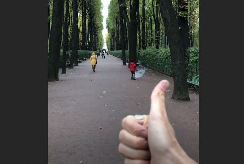 Вот такая прогулка. Фото: Instagram