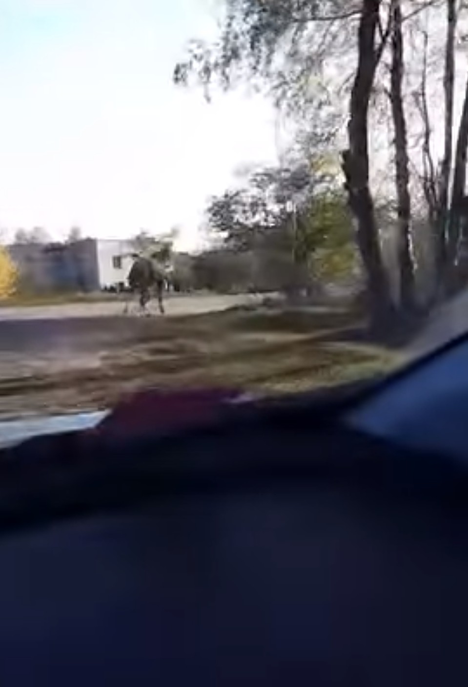 Фото: скриншот.