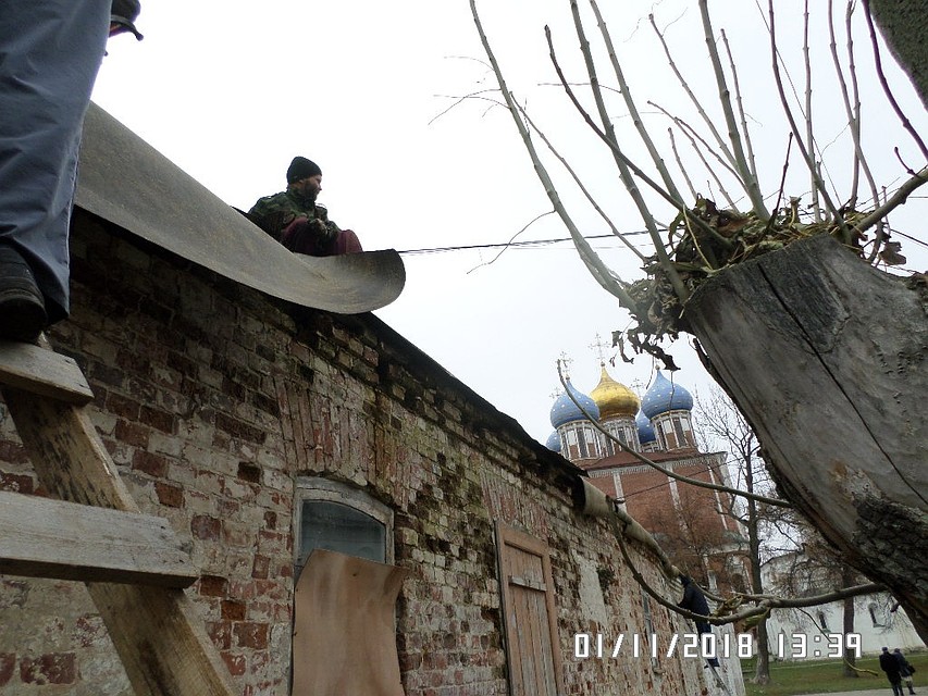 Фото: рязанское отделение ВООПИК.