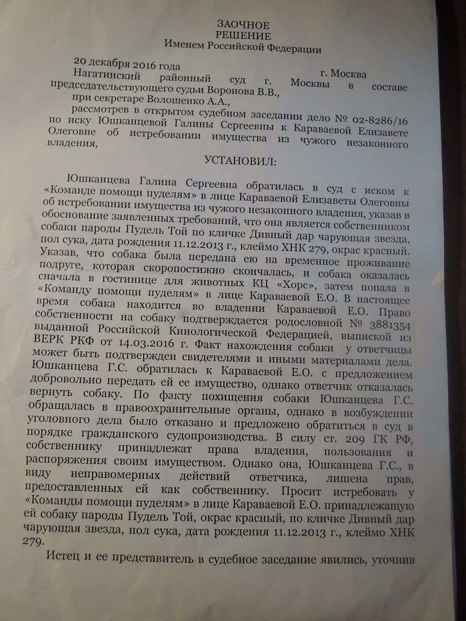 Галина Юшканцева попыталась забрать собак через суд.