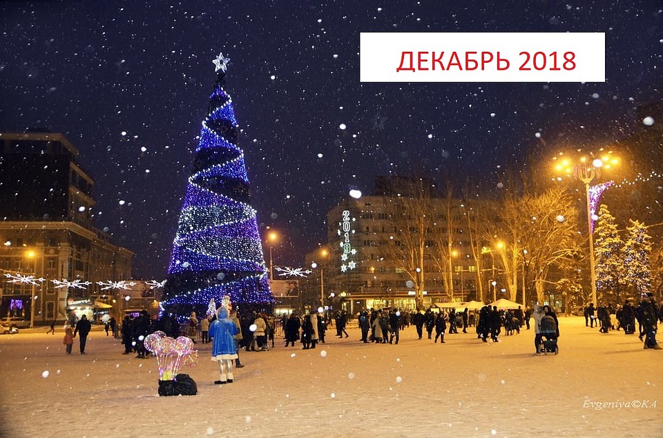 Главная елка Донецка 2018-2019 год. Фото: Евгении Карпачевой