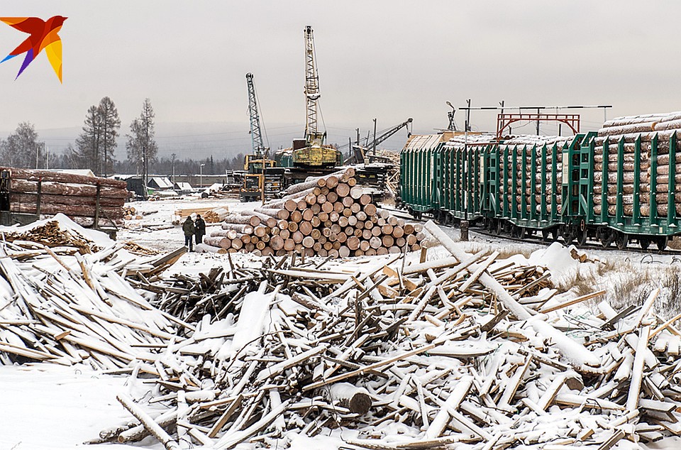 Кругляк и горбыль Фото: Виктор ГУСЕЙНОВ
