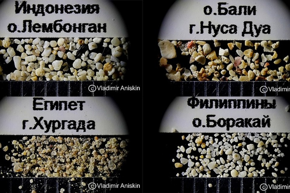 Мастер исследовал 17 образцов. Фото: Владимир Анискин
