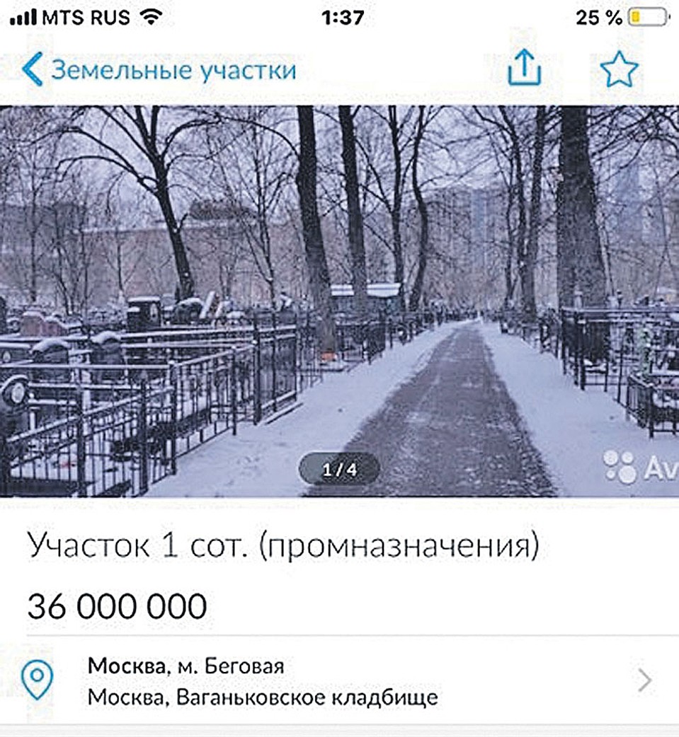 Могила по цене квартиры