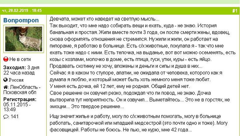 Скрин страницы в интернете, где женщина описывает схожую с Еленой Перчиковой историю.