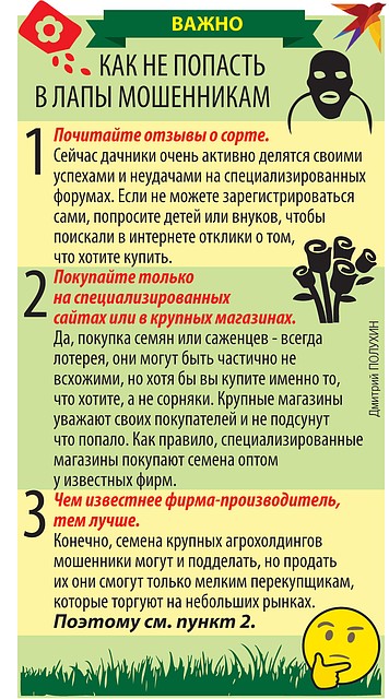 Важно.