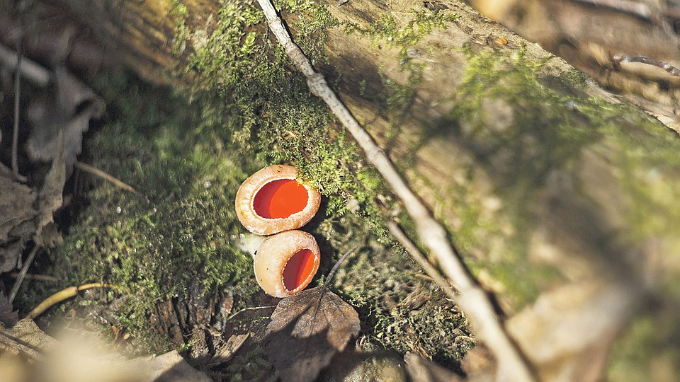 Фото: Наталия СИДОРОВА