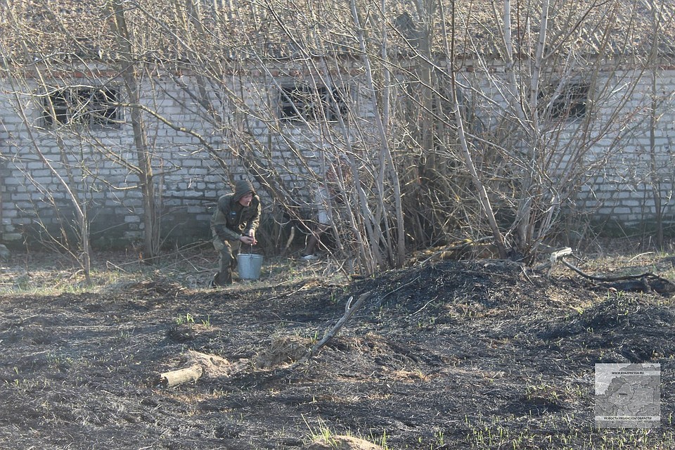 Фото: Издательство «Пресса».