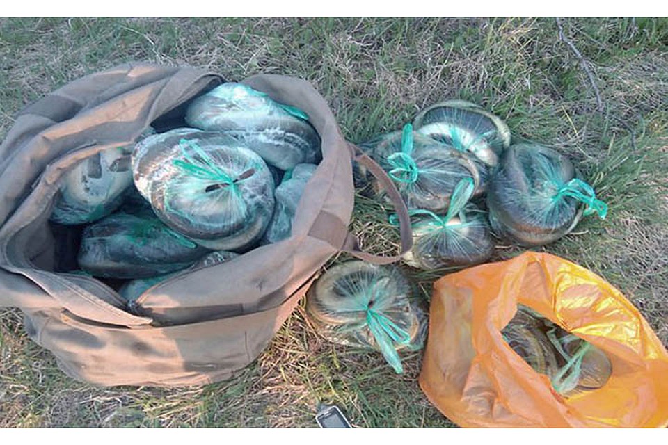 В озере Мядель незаконно выловили 45 кг угря. Фото: Государственная инспекция охраны животного и растительного мира при президенте