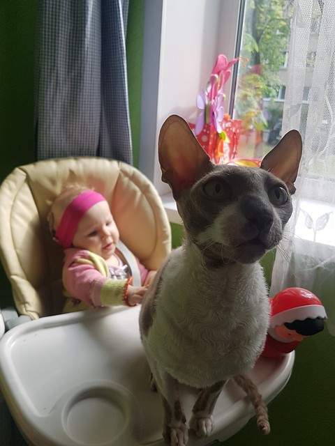 Один из первых звуков для Матрены стало мяукание кота