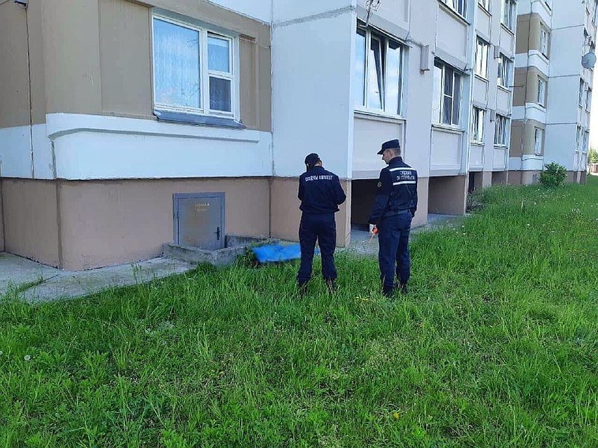 В Гомеле из окна 7 этажа выпал 3-летний мальчик и разбился насмерть. Фото: СК