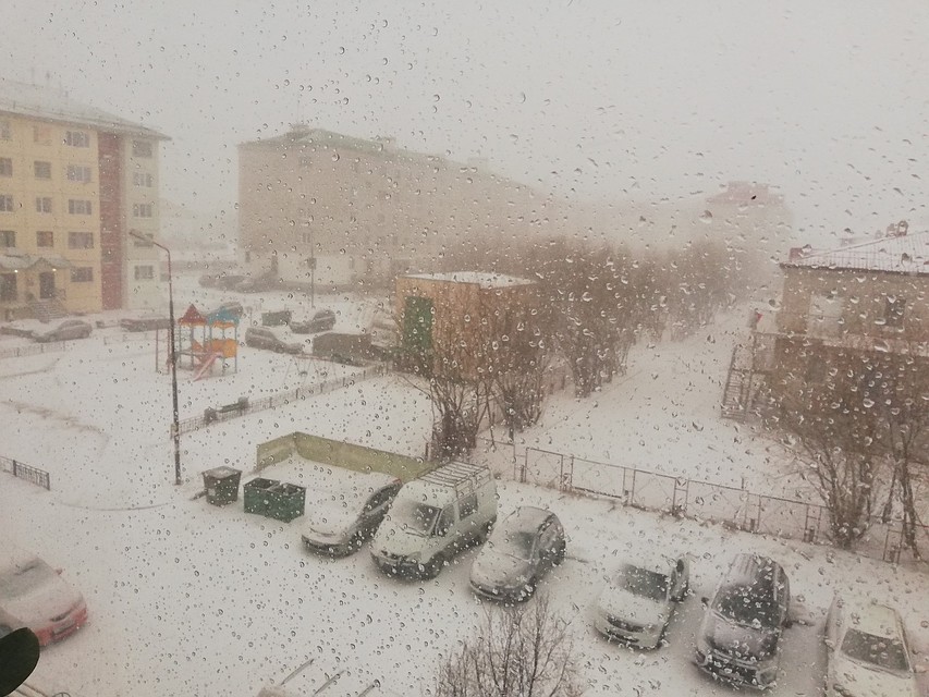 Вид из окна. Фото: соцсети