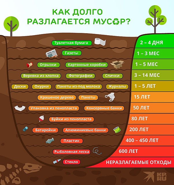 Сроки разложения различного типа отходов. Фото: Рушан КАЮМОВ