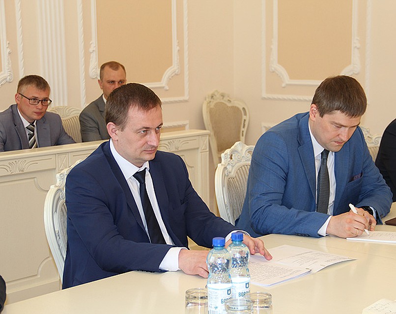 Заместитель премьер-министра Александр Турчин выразил готовность выслушать предложения руководителя австрийского холдинга. Фото: government.by