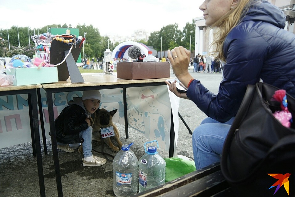 Собака нравится и детям, и взрослым, но взять ее к себе пока никто не решился Фото: Алексей БУЛАТОВ